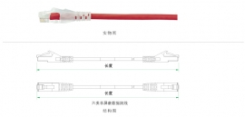 六类非屏蔽数据跳线 CAA01-UC6--